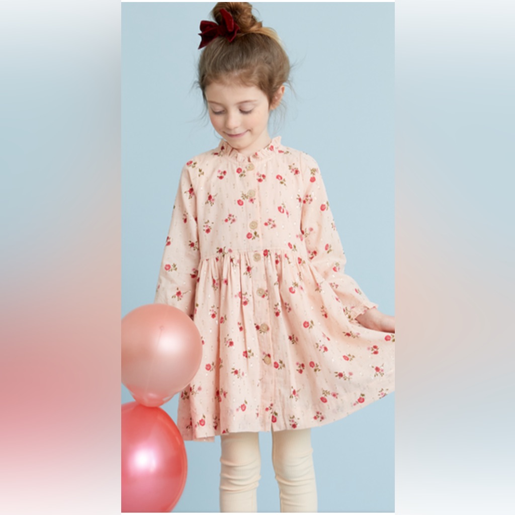 Pink Chicken Dress Size 5